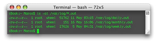 Terminal output