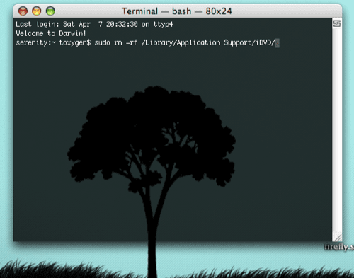 Terminal remove iDVD