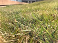 Apple nový iPad 3 recenzia