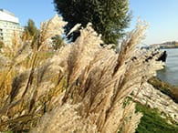 iPhone 5c fotografie