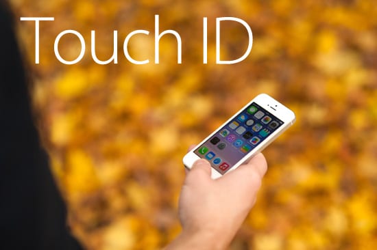 iPhone 5s Touch ID