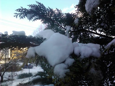 LG Optimus 7 s Windows Phone 7