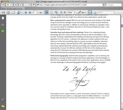 Safari PDF Plugin Adobe