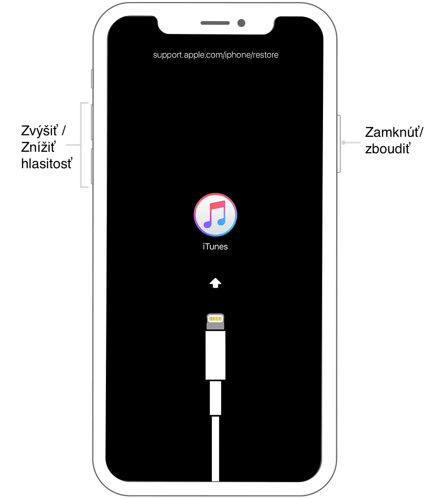 iOS recovery iPhone X