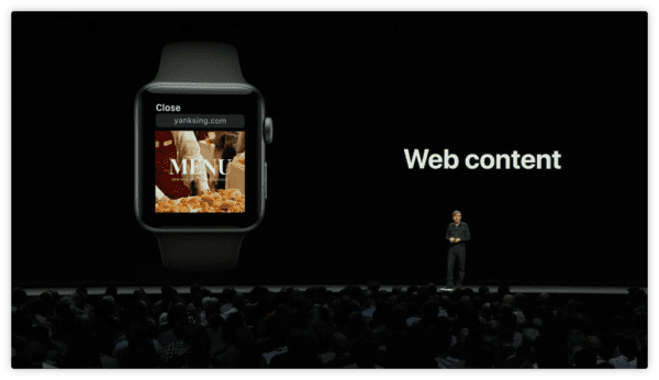watchOS 5 WebKit